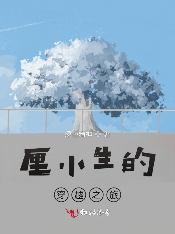 厘小生的穿越之旅小说封面