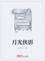 月光侠影