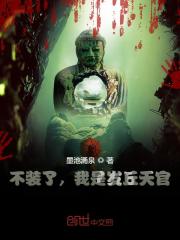 哪本小说的主角有宁辰罗老歪？