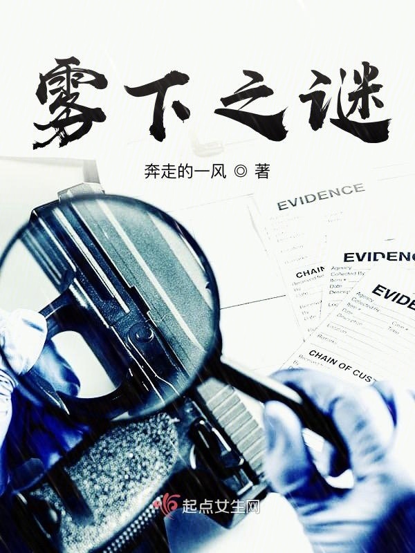 雾下之谜小说封面