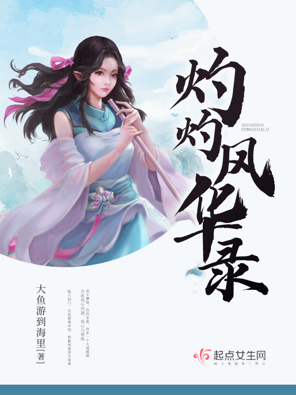 灼灼风华录小说封面