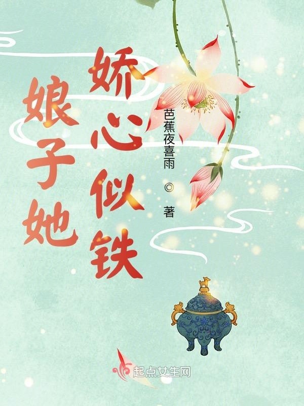 娘子她娇心似铁小说封面
