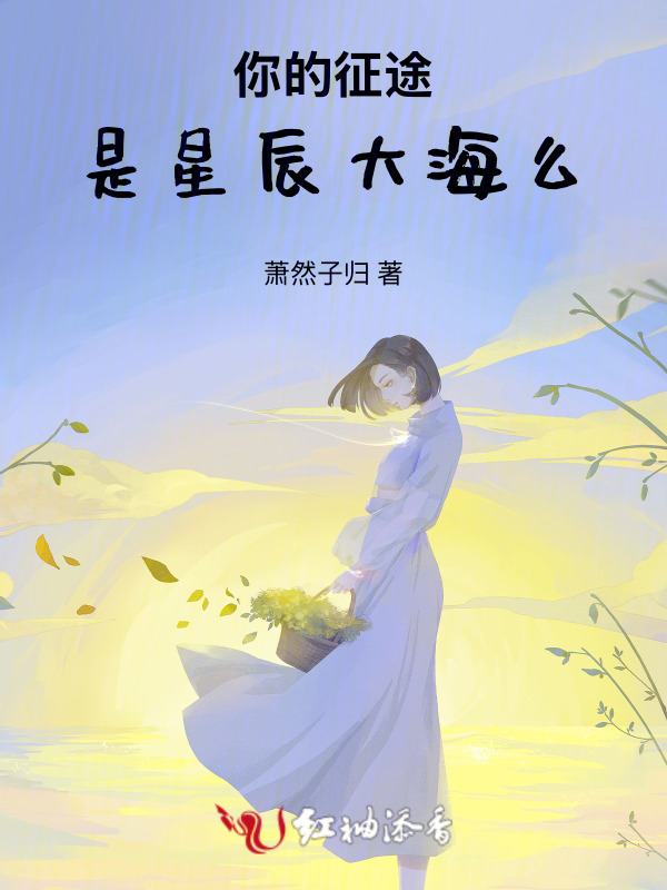 你的征途，是星辰大海么小说封面
