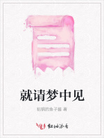 就请梦中见