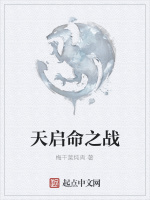 天启命之战