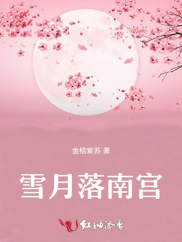 雪月落南宫小说封面