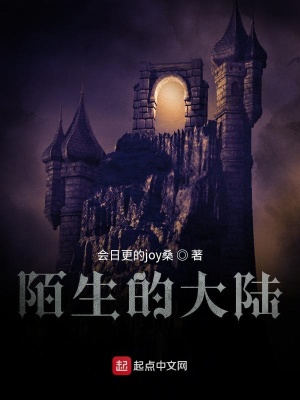 《陌生的大陆》封面