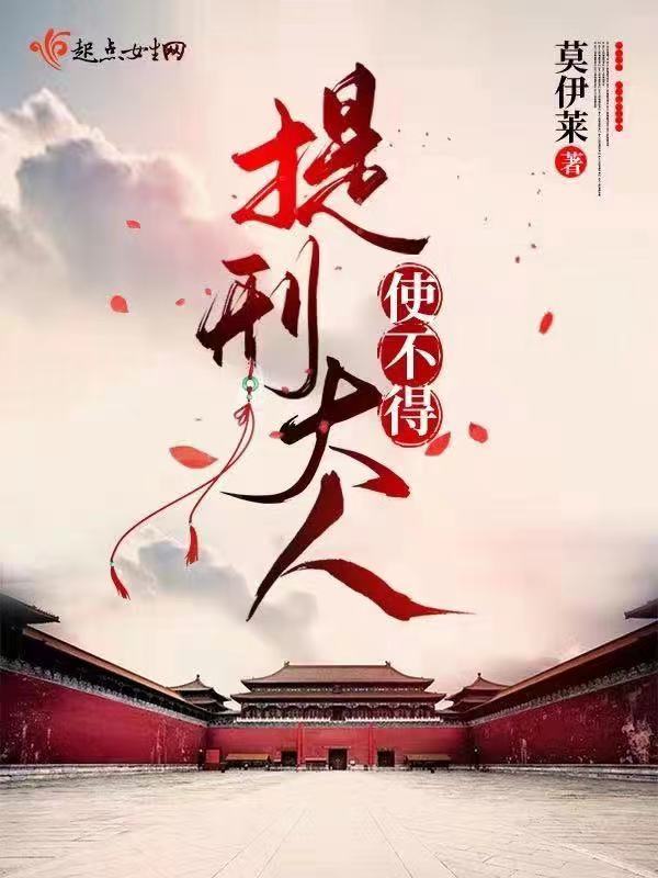 提刑大人使不得小说封面