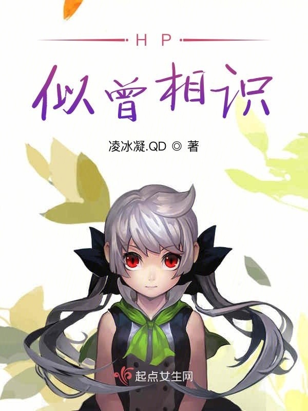 HP似曾相识小说封面