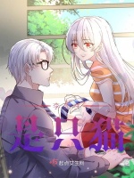 李先生是只猫