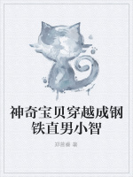 神奇宝贝穿越成钢铁直男小智