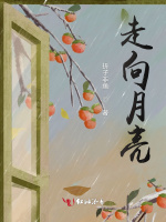 走向月亮