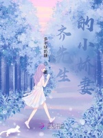 齐先生的小娇妻