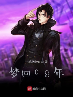 《梦回08年》封面