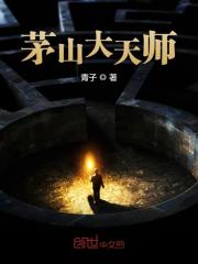 主角是叶少阳小马周静茹的小说叫什么名字？