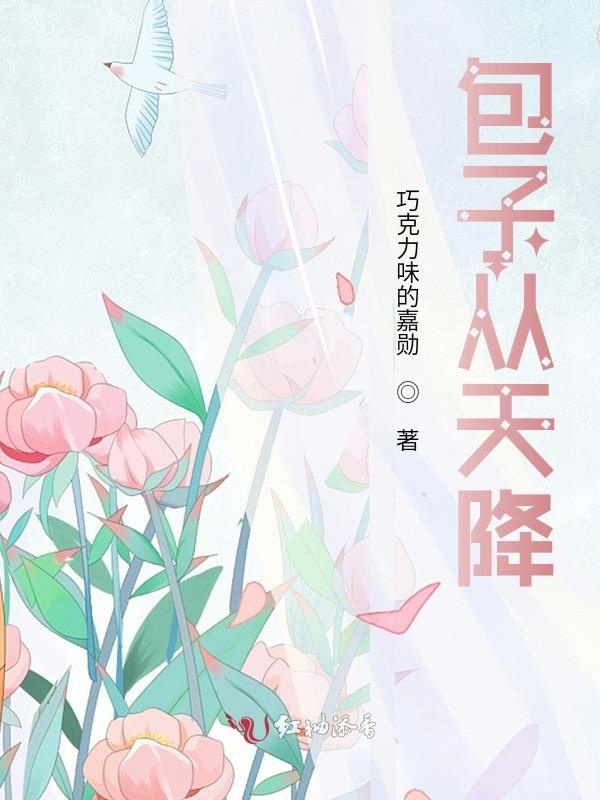 包子从天降小说封面