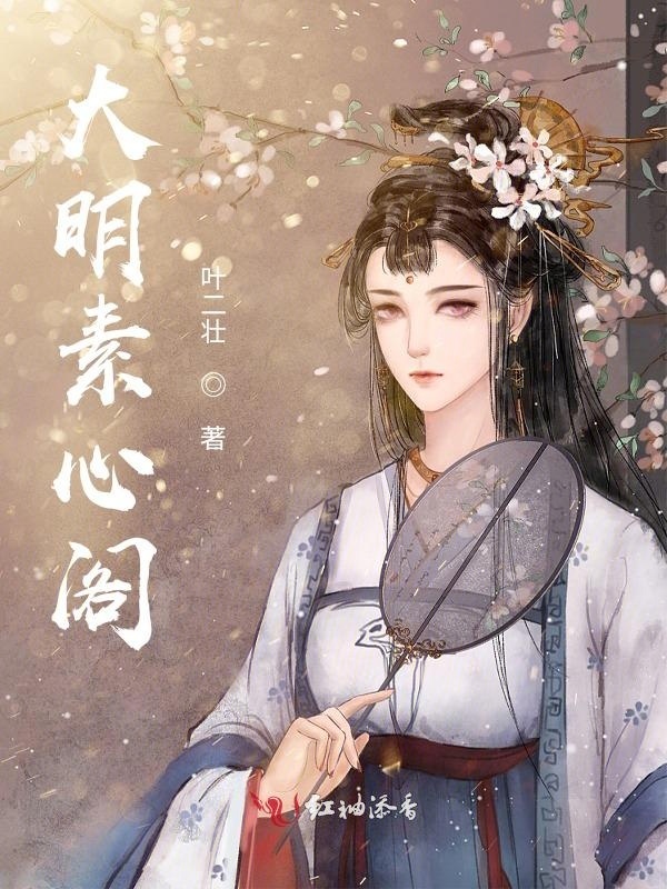大明素心阁小说封面