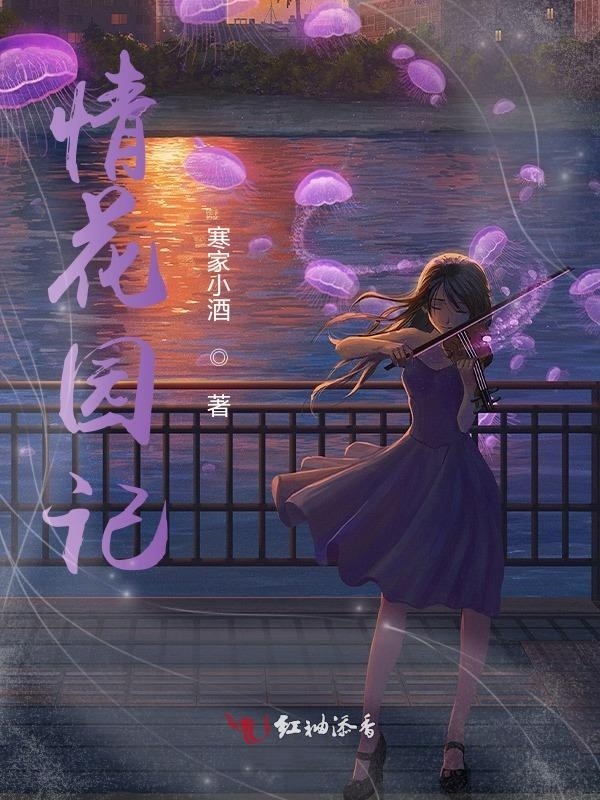 情花园记小说封面
