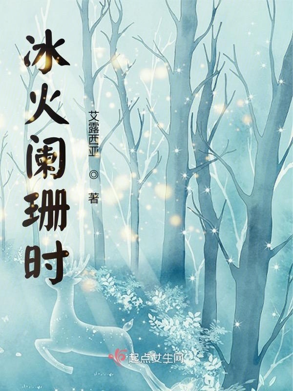 冰火阑珊时小说封面