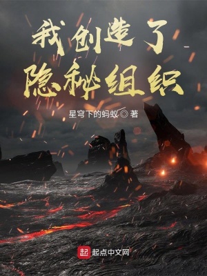 《我创造了隐秘组织》封面