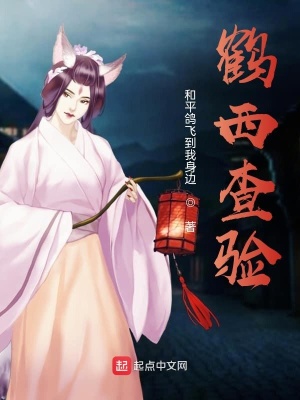 《鹤西查验》封面