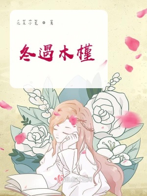 《冬遇木槿》封面