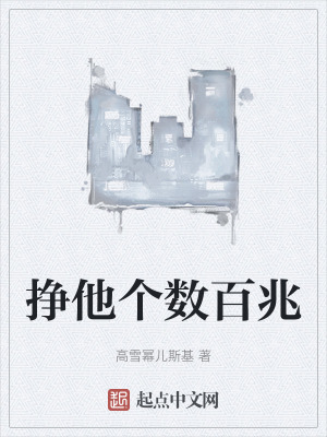 《挣他个数百兆》封面