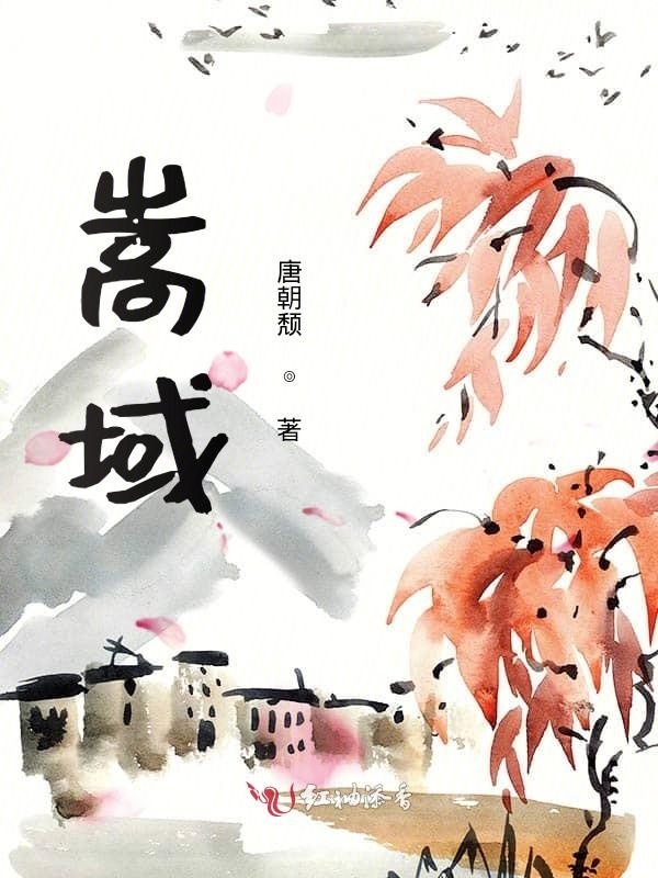 嵩域，问道小说封面