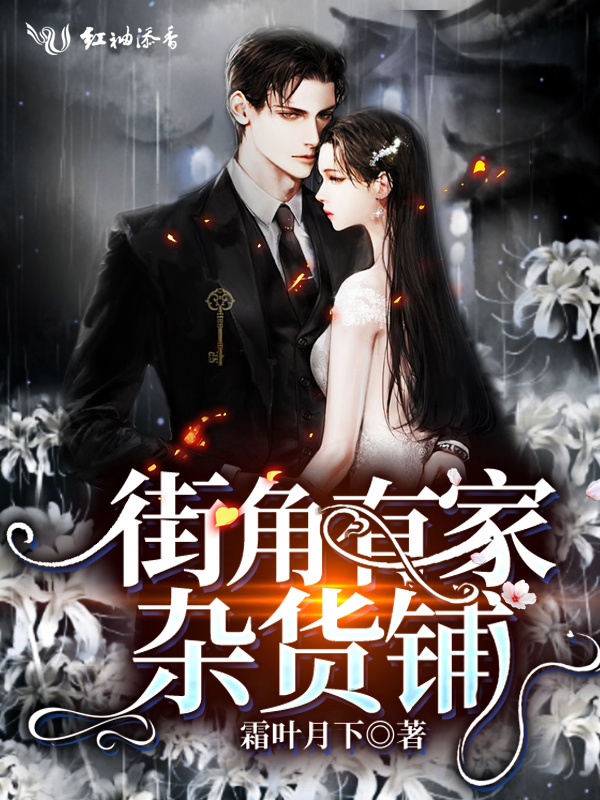 街角有家杂货铺小说封面