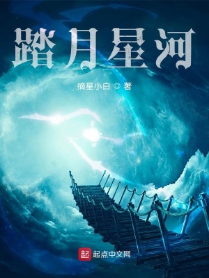 《踏月星河》封面