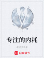 专注的内耗