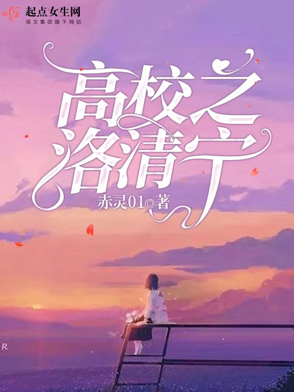 高校之洛清宁小说封面