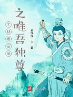 少林寺系统之唯吾独尊