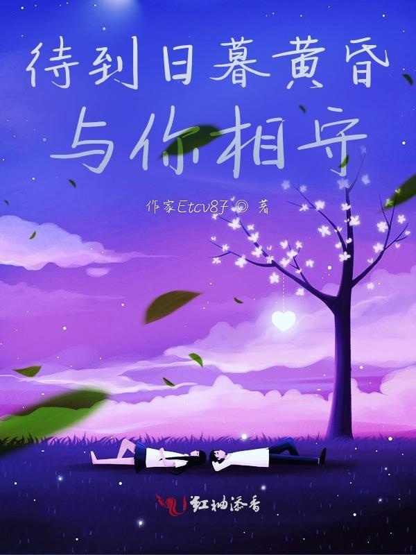 待到日暮黄昏，与你相守小说封面