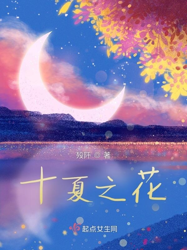 十夏之花小说封面