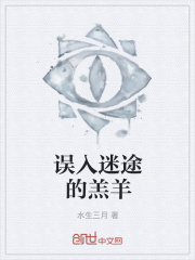 《误入迷途的羔羊》封面