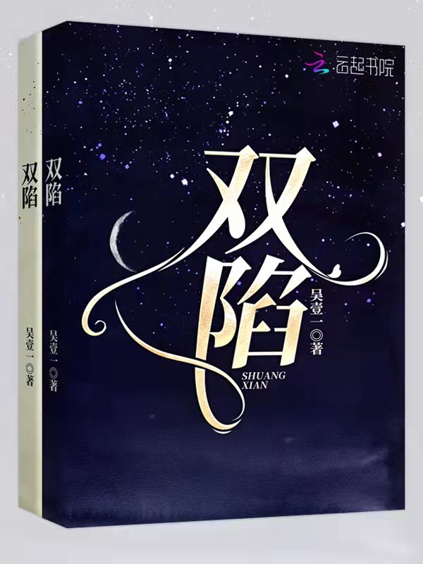 双陷小说封面