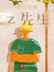 Thiết Thạch Tâm Trường Z Tiên Sinh