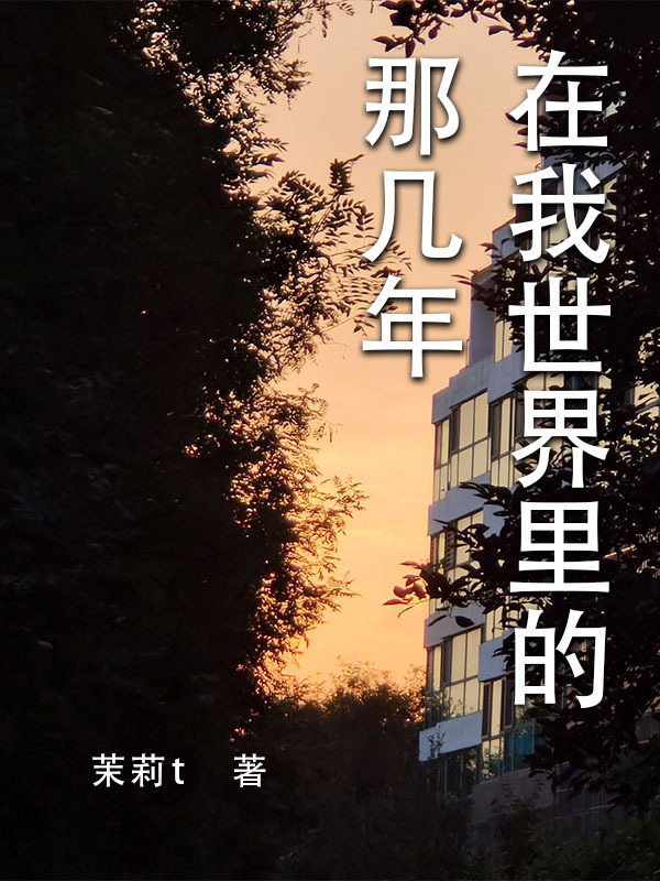 在我世界里的那几年小说封面