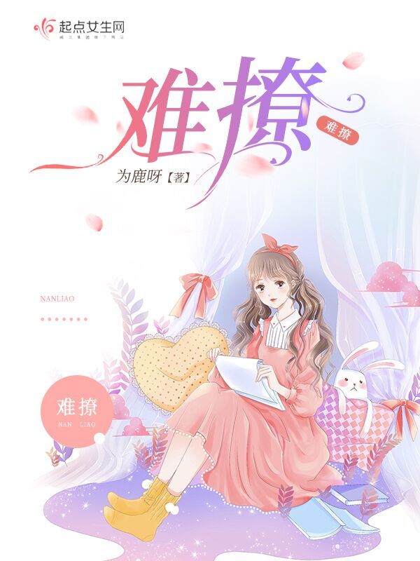 难撩小说封面