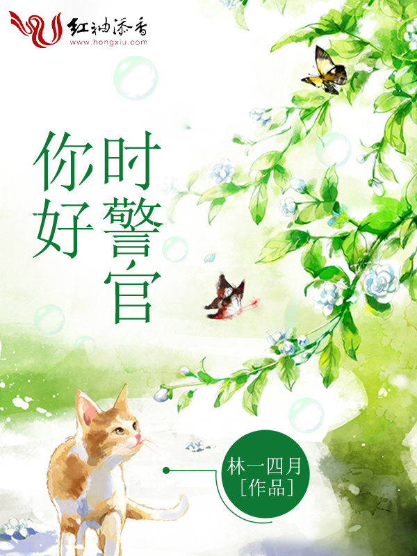 你好，时警官小说封面