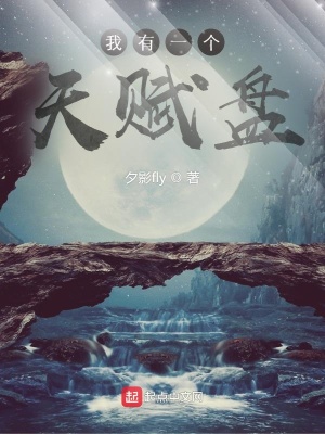 《我有一个天赋盘》封面