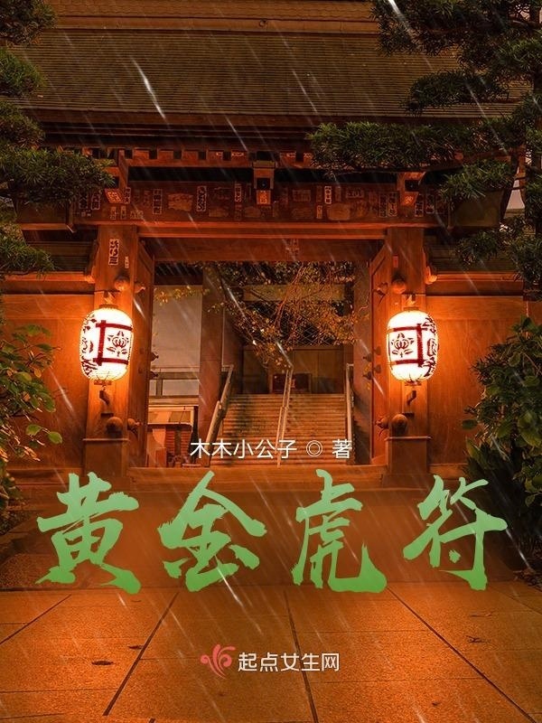 黄金虎符小说封面