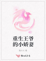 重生王爷的小娇妻