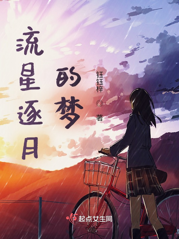 流星逐月的梦小说封面