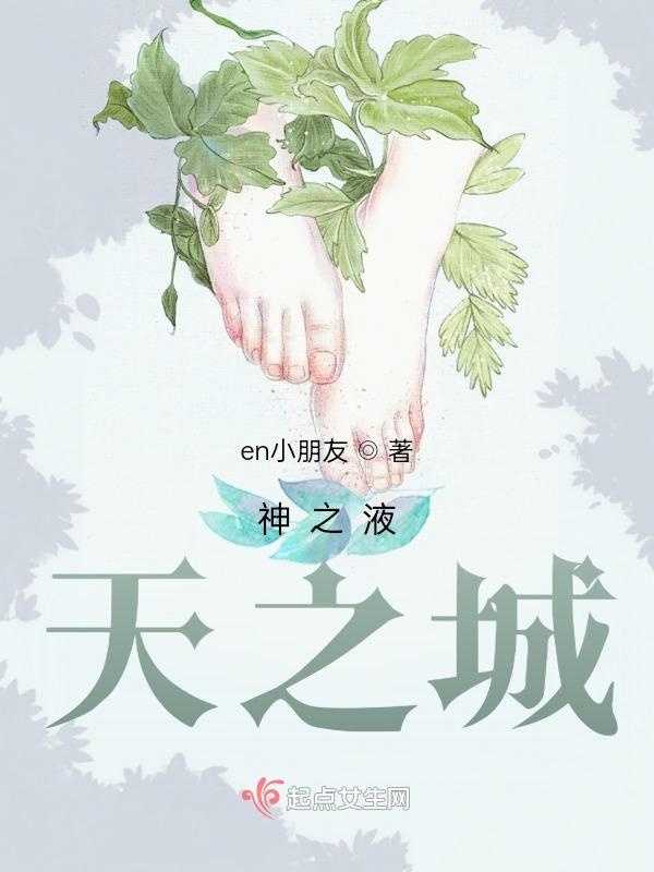 神之液：天之城小说封面