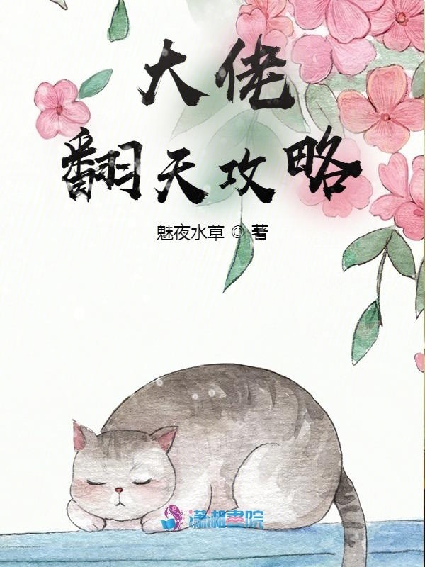 大佬翻天攻略小说封面