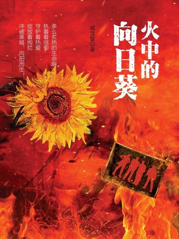 火中的向日葵小说封面