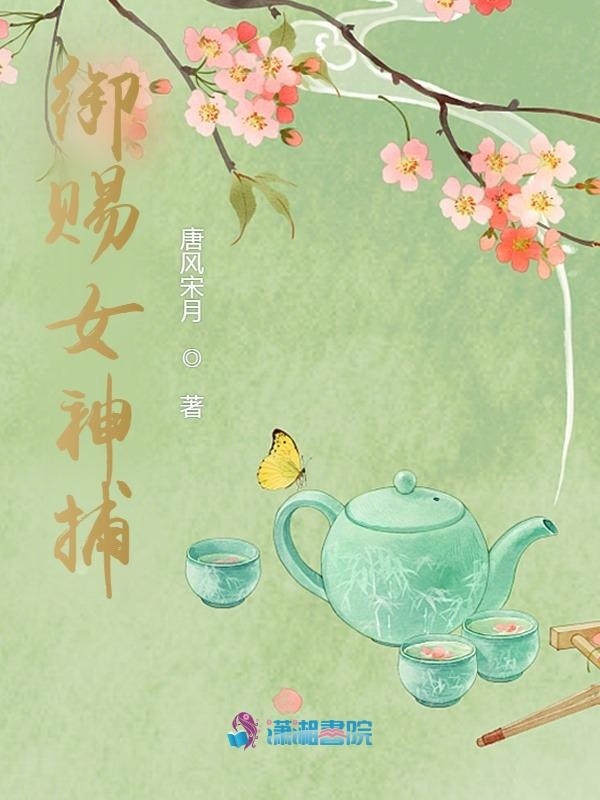御赐女神捕小说封面