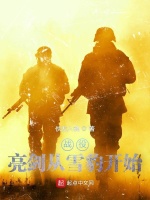 战役：亮剑从雪豹开始